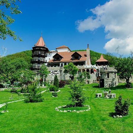 Hotel Castelul Lupilor Chimindia Exteriér fotografie