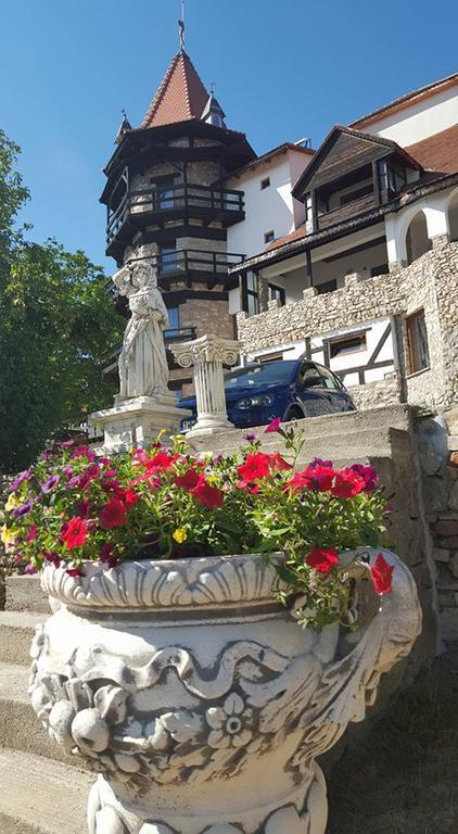 Hotel Castelul Lupilor Chimindia Exteriér fotografie